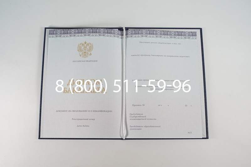 Диплом бакалавра (Киржач) 2014-2024 года в Петрозаводске