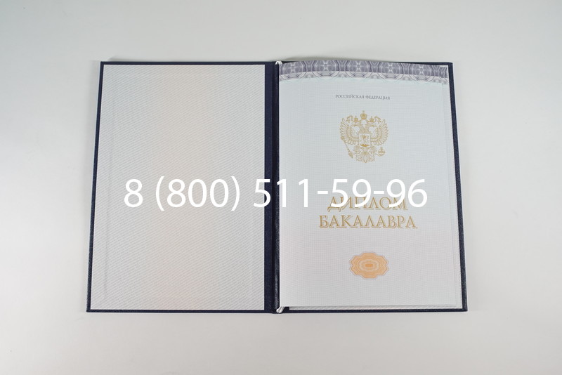 Диплом бакалавра (Киржач) 2014-2024 года в Петрозаводске