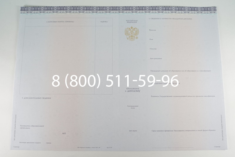 Диплом бакалавра (Киржач) 2014-2024 года в Петрозаводске