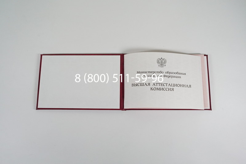 Диплом доктора наук 1995-2006 года в Петрозаводске