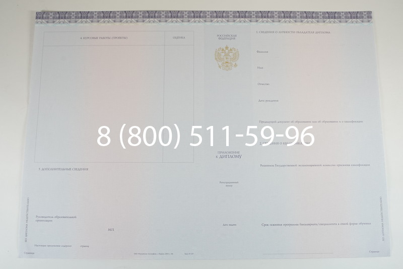 Диплом о высшем образовании (Киржач) 2014-2024 годов в Петрозаводске