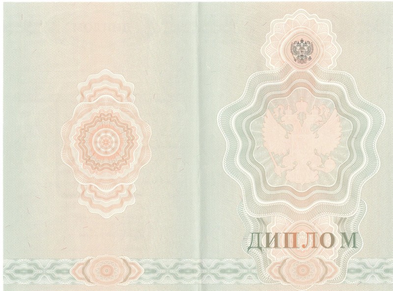 Купить Диплом о начальном образовании 2007-2009 годов в Петрозаводске Купить Диплом о начальном образовании 2007-2009 годов в Петрозаводске