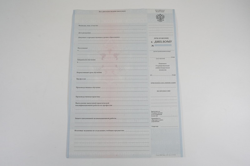 Диплом о начальном образовании 2007-2009 годов в Петрозаводске Диплом о начальном образовании 2007-2009 годов в Петрозаводске
