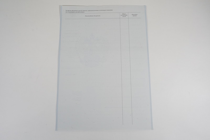 Диплом о начальном образовании 2007-2009 годов в Петрозаводске Диплом о начальном образовании 2007-2009 годов в Петрозаводске