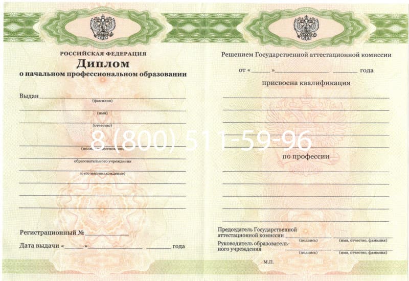 Купить Диплом о начальном образовании 2010-2024 годов в Петрозаводске Купить Диплом о начальном образовании 2010-2024 годов в Петрозаводске