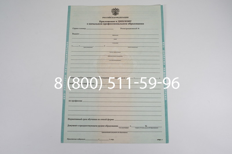 Диплом ПТУ 2014-2024 года в Петрозаводске Диплом ПТУ 2014-2024 года в Петрозаводске