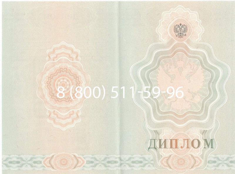 Купить Диплом училища 2007-2009 годов в Петрозаводске